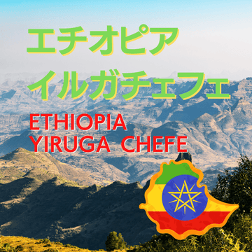 【エチオピア】イルガチェフ